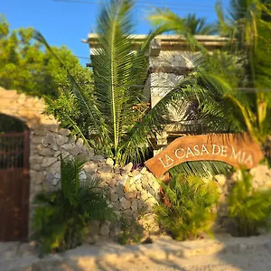  Hotel La Casa De Mia México