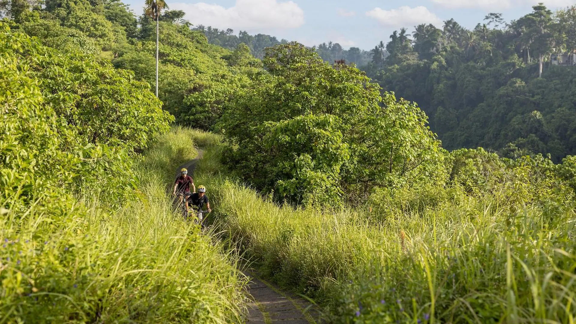 The Sankara Suites And Villas By Pramana Ubud 4*,